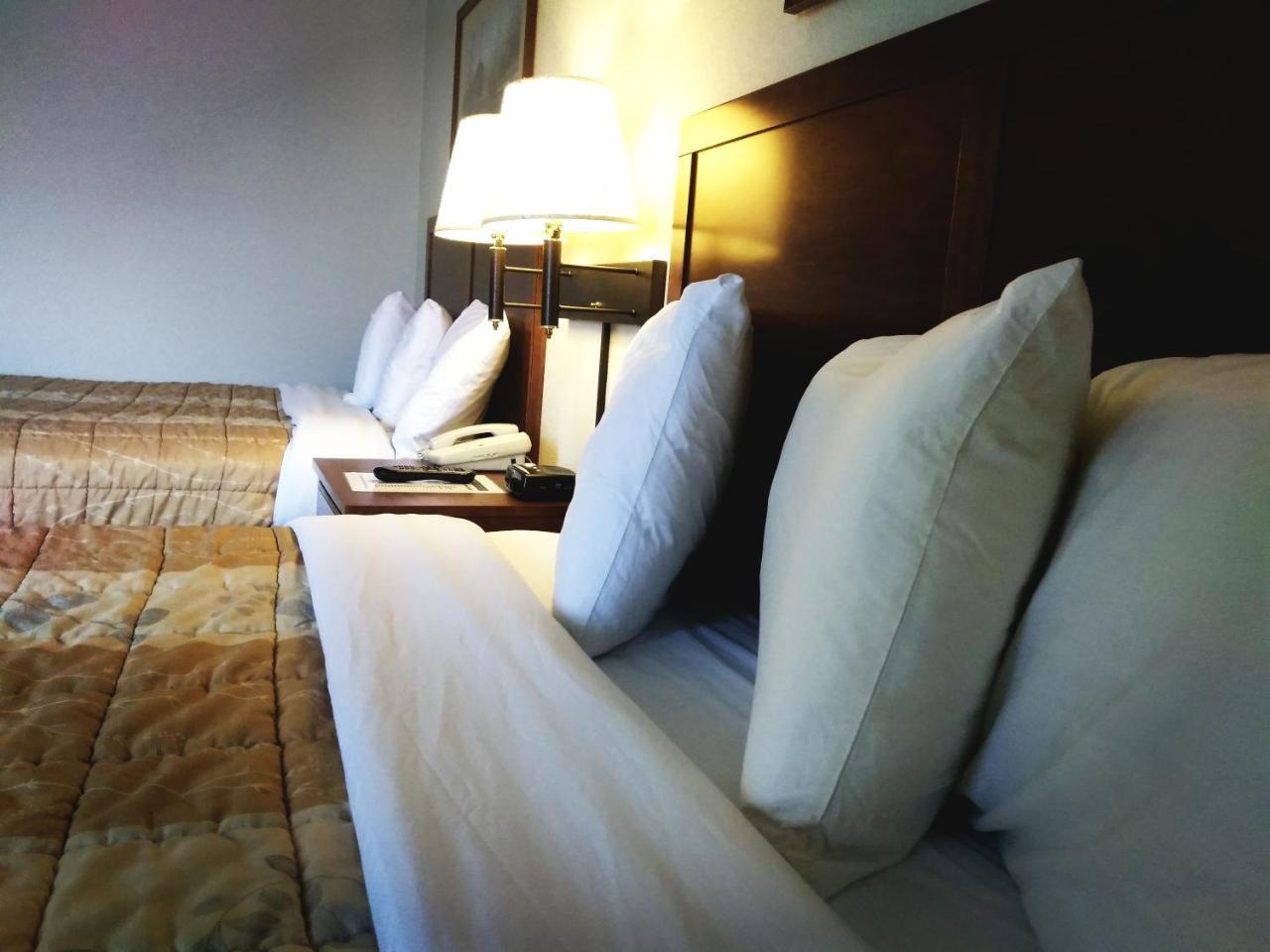 Madelia Hotel & Suites Bagian luar foto